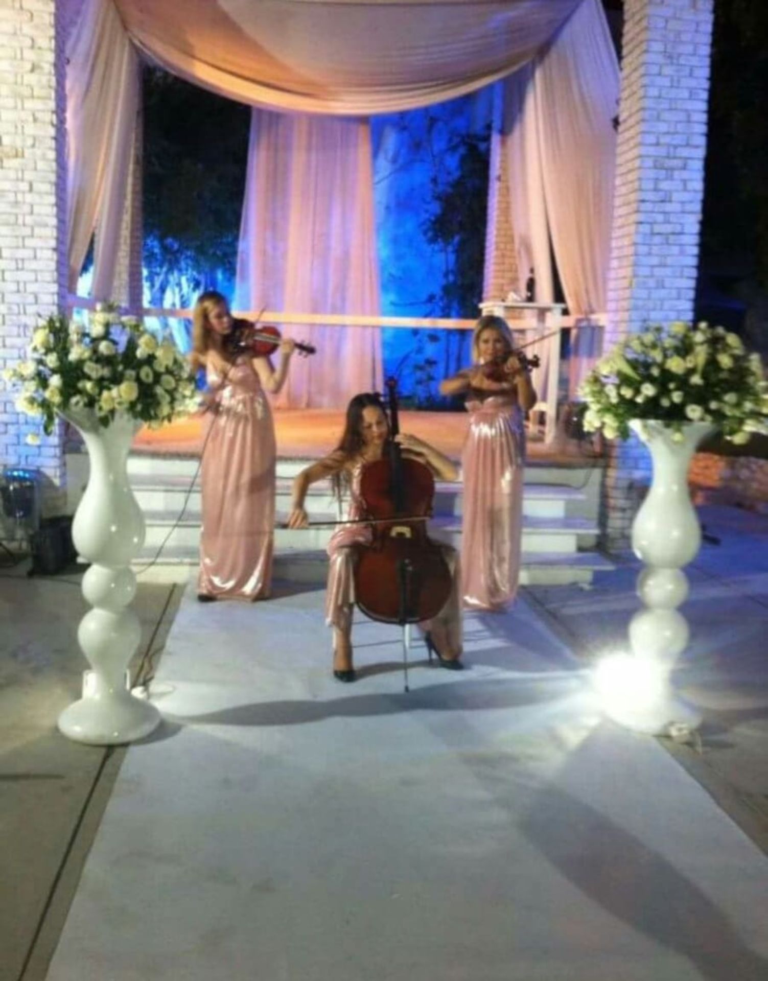 כינורות לאירוע