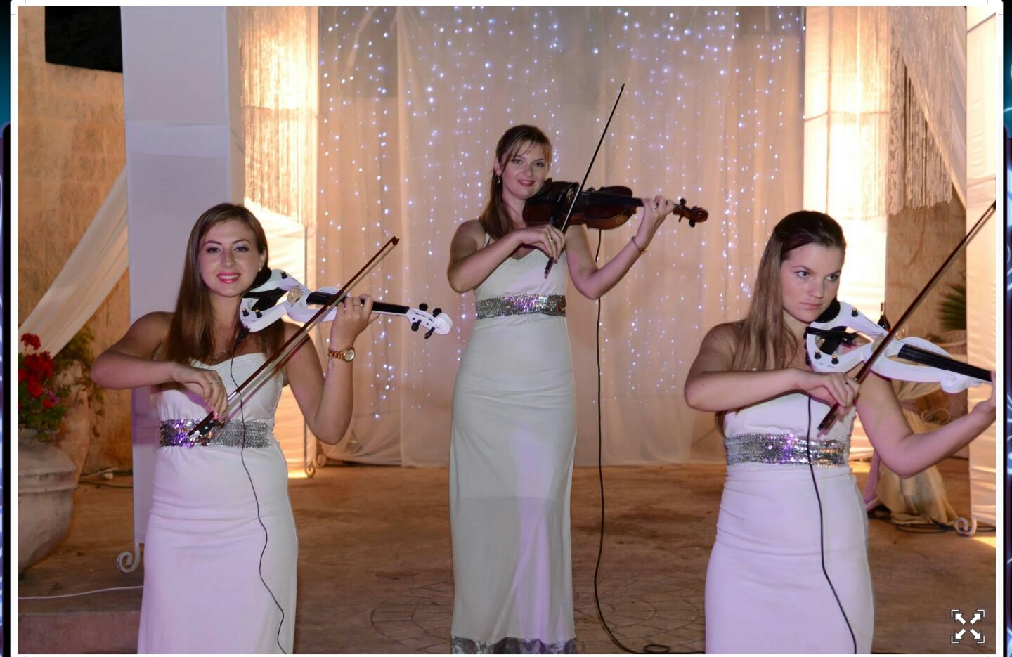 כנריות לאירועים