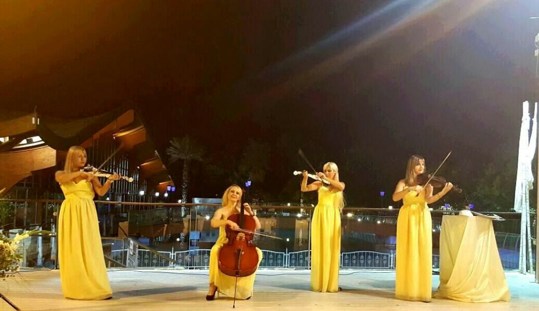 כנריות לאירועים