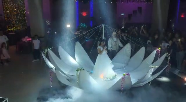 הפרח נפתח לעיני האורחים