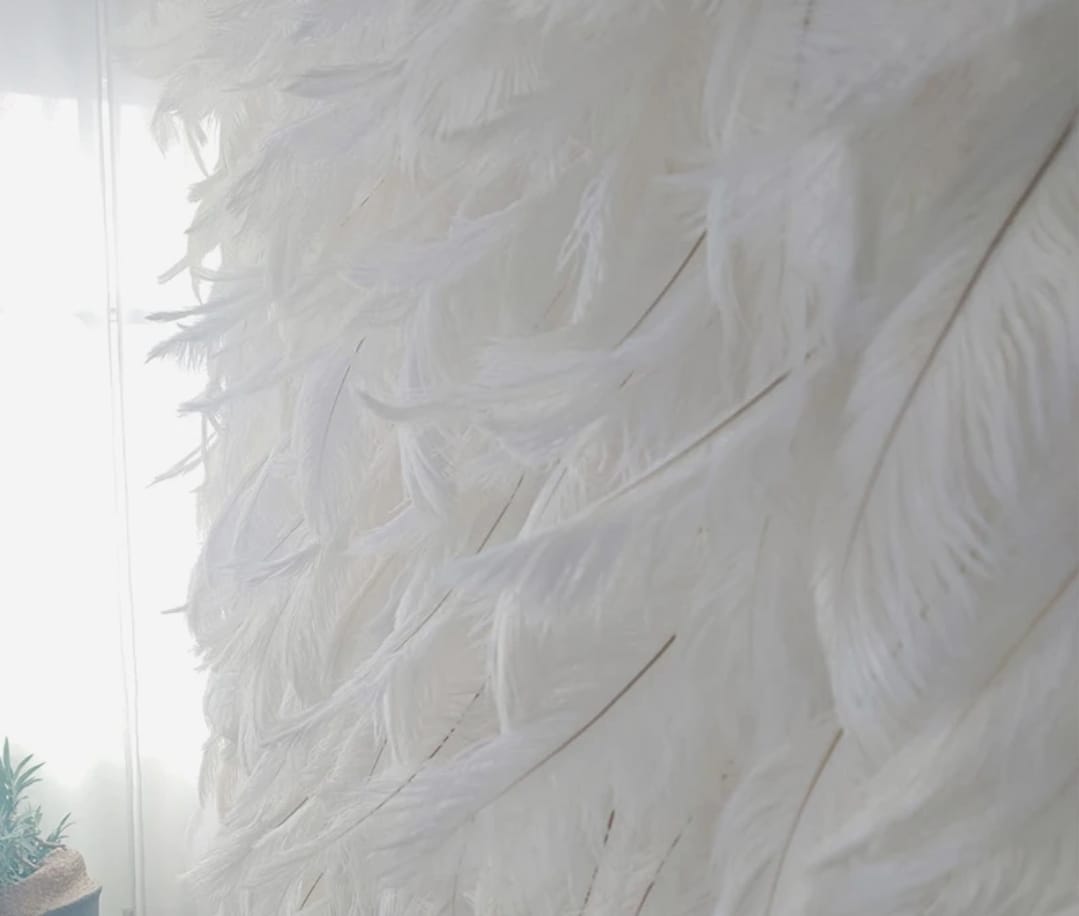 קיר נוצות לאירועים 2