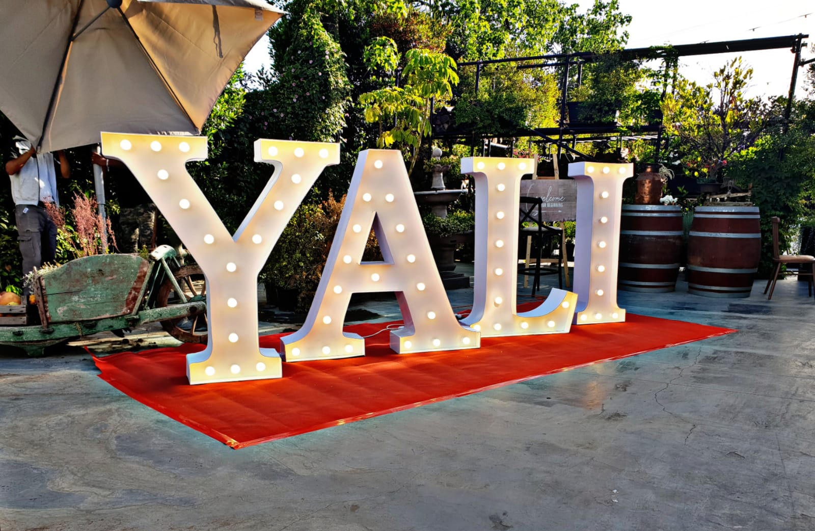 יהלי ושטיח אדום